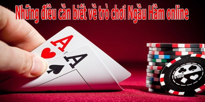 Tổng quan chi tiết về bài ngầu hầm tại nhà cái