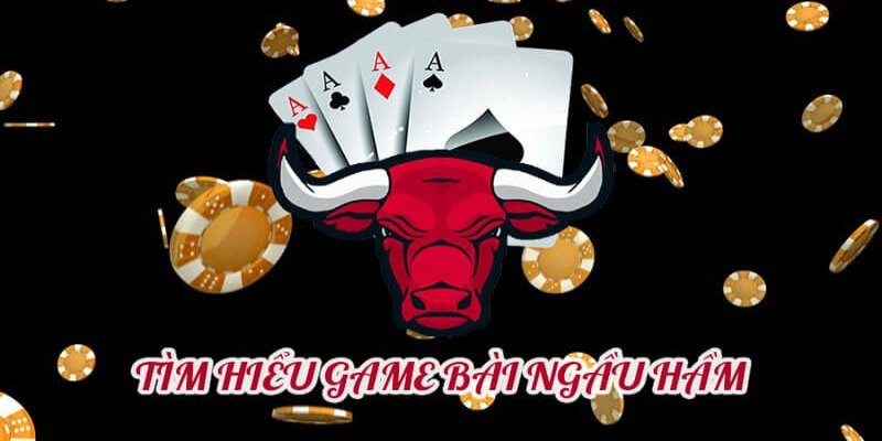 Bài ngầu hầm và cách chơi thắng lớn từ cao thủ tại 58Win